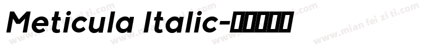 Meticula Italic字体转换